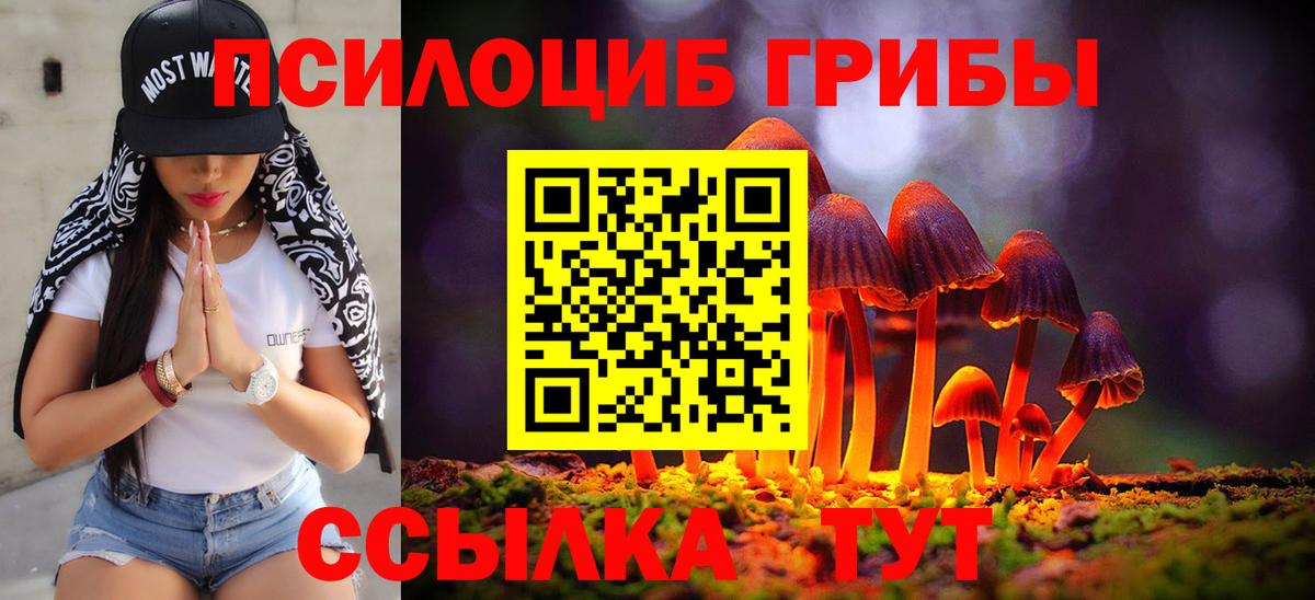 Сланцы  Псилоцибиновые грибы Psilocybine cubensis  Галлюциногенные грибы Magic Shrooms  Вход с VPN 