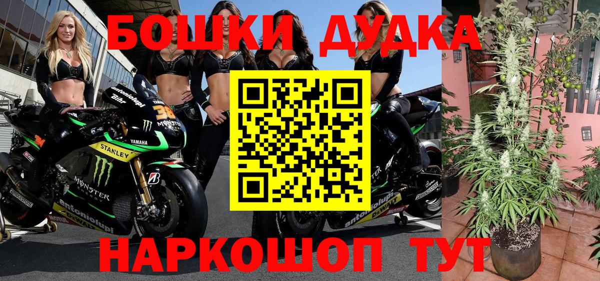 Шишки марихуана MAZAR  Вход с VPN  Сланцы  Конопля планчик 